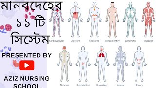 মানবদেহের ১১ টি সিস্টেমসমূহ | 11 Human Body Systems | Anatomy & Physiology