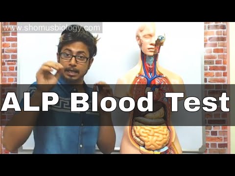 ALP blood Test in Hindi (alkaline phosphatase test)