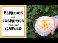 HOW TO USE FLOWERS TO MAKE COSMETICS