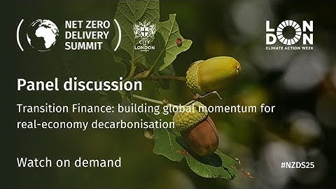 Net Zero Delivery Summit 2025: Transition Finance
