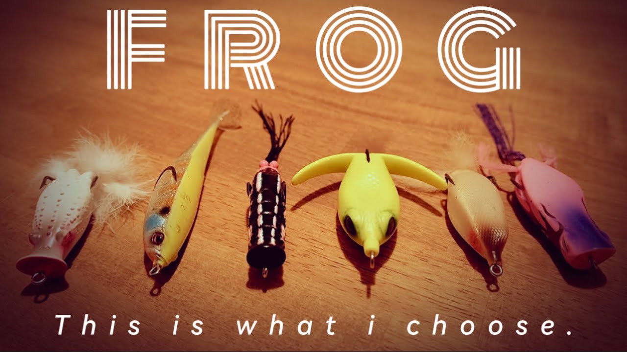 フロッグ完全解説！使い分けとマル秘アクション公開🔥【琵琶湖バス釣り】