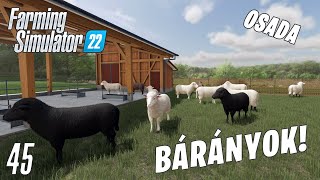 Farming Simulator 22 LIVE #45 - BÁRÁNYOK! Osada #4