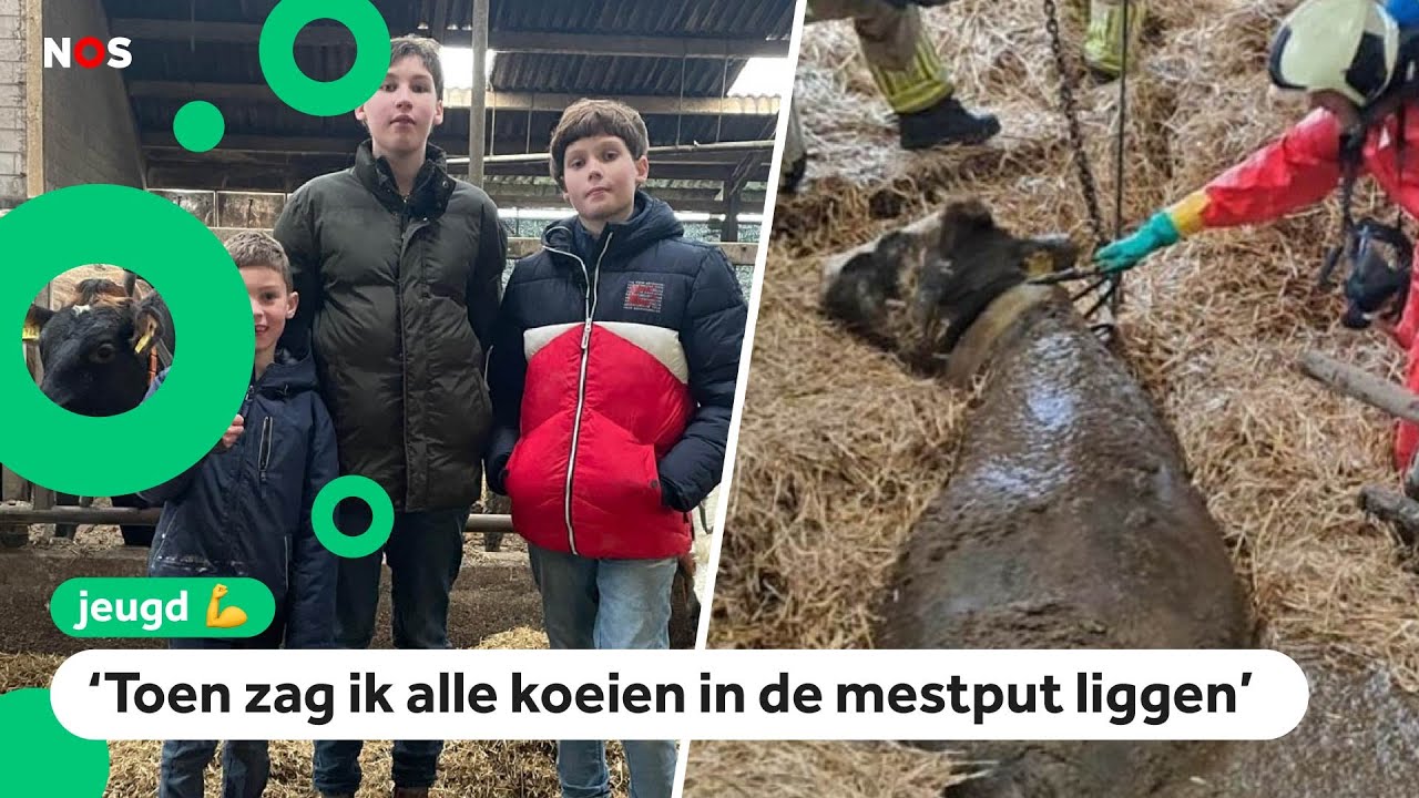 Op de boerderij van deze broers stortte de stalvloer in