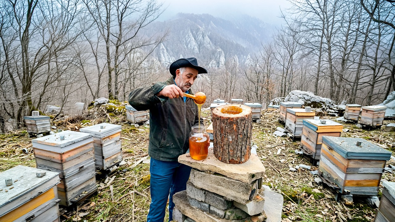 Жизнь пожилой пары в отдаленной горной деревне, собирающей дикий мед.