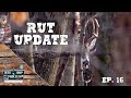 Rut Hunting Update | The Deer Shop Podcast | Episode 16