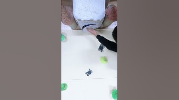 Coding alla Scuola Primaria 2