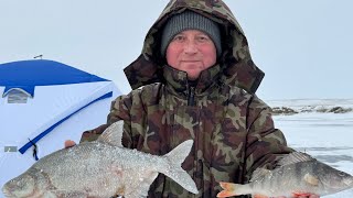 Трофейный  лещ!🔥Рыбалка в буран с ночёвкой на льду.Так вот кто атаковал жерлицы!