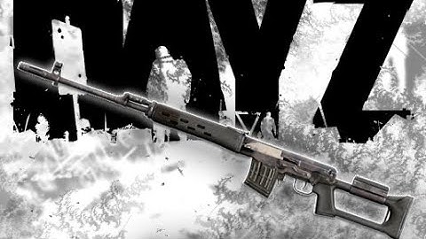 DayZ Why the VSD is the best sniper 1V3! (PS5)