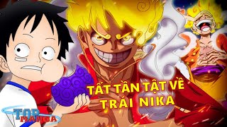 Tất Tần Tật Về Hito Hito Nomi Model Nika