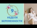 9 Неделя Беременности. Развитие плода и ощущения мамы