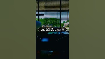 القارئ علي صلاح العمر - ولقد ضربنا للناس في هذا القرآن من كل مثل