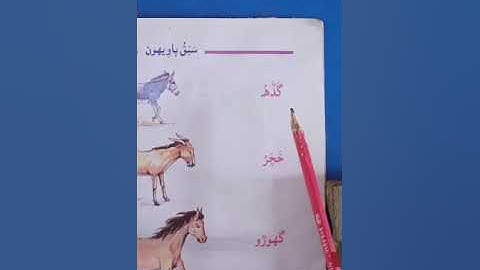 Class I Sindhi M T Lesson 22 Lecture 01, Dated: 28- 12- 2020