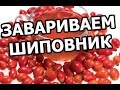 Как заваривать шиповник правильно. Заварить очень легко!