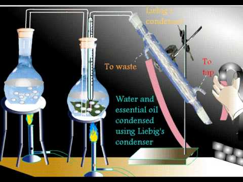 Chemistry Practical in Steam Distillation - YouTube diagram of science apparatus 