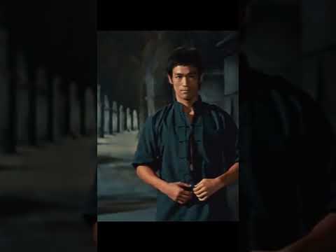 Bruce Lee Fight Scenes Bruce Lee Real Fight Scenes 