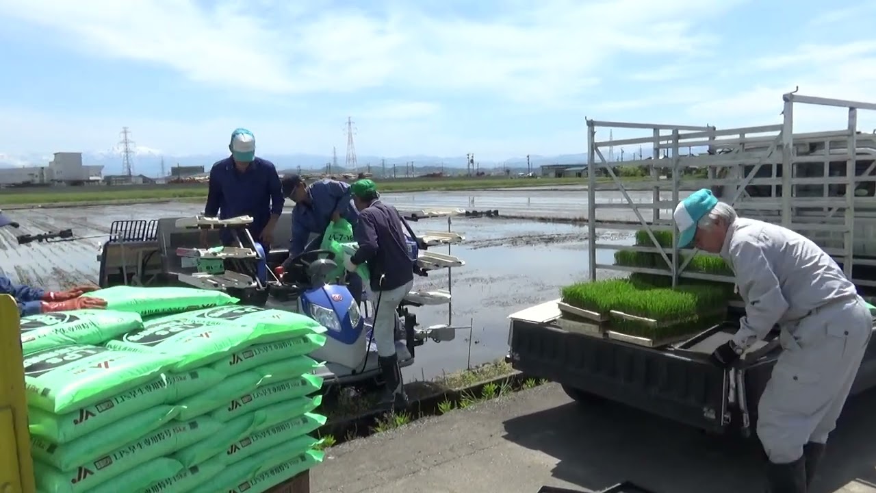 いよいよ始まりました