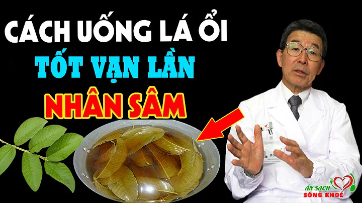 Lấy LÁ ỔI Nấu Nước Uống Theo Cách Này CỰC TỐT CHO SỨC KHỎE, Tăng Cường Tuổi Thọ
