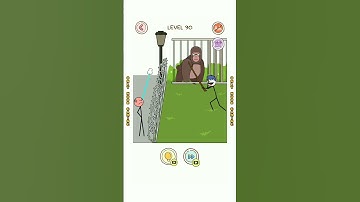 Thief Puzzle Level 90