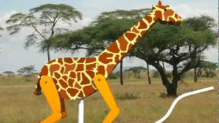 Bobby M. Giraffe Pull Toy