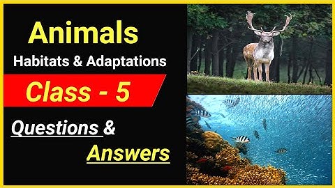 Animals Habitats and adaptations Questions and answers | Class 5 | class 5 science adaptation mcq