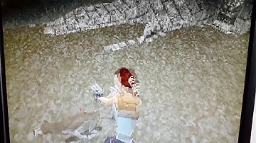 Tomb Raider (Software Rendering)