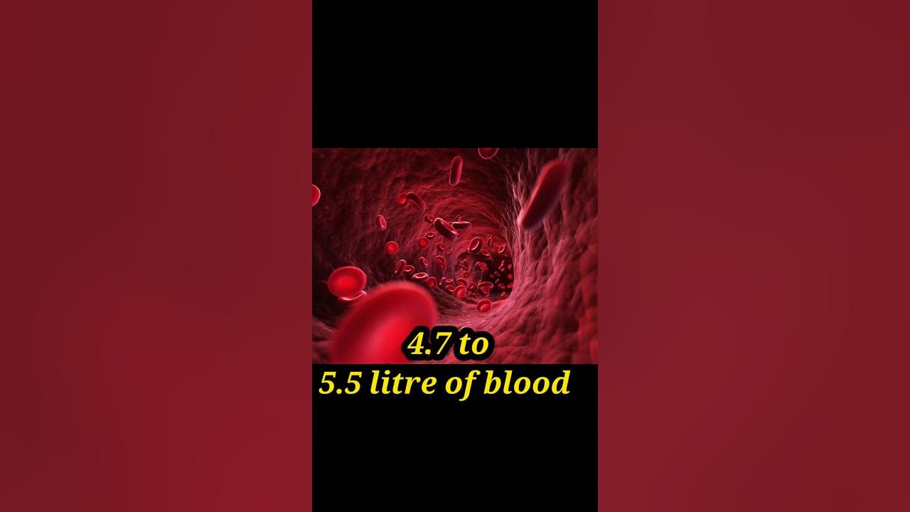 how-much-blood-in-human-body