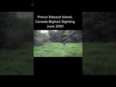 Rare Footage Of Bigfoot In Prince Edward Island Canada