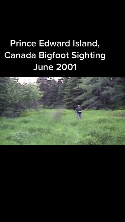 Rare Footage of Bigfoot in Prince Edward Island Canada