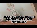 How to make rabbit manure as plant fertilizer