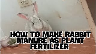 How To Make Rabbit Manure as Plant Fertilizer