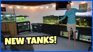 Adding FOUR AQUARIUMS To My FISH ROOM!