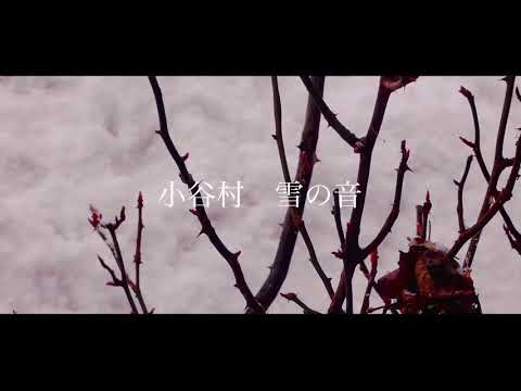 【信州の自然音ASMR〜雪の音】｜小谷村｜雪｜TASCAM DR-07X