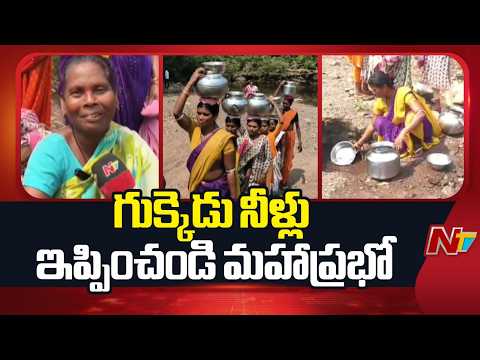 గుక్కెడు నీళ్లు కోసం ప్రజలు నానా అవస్థలు | Water Crisis in Adilabad | NTV Telugu - NTVTELUGU