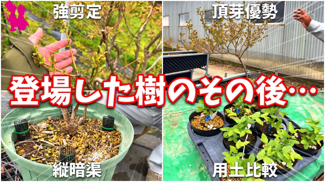 Experiment in Progress] Here's what the seedlings that appeared in