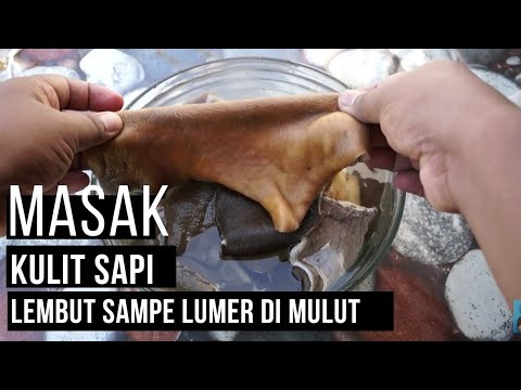 Cara Merebus Daging Cepat Empuk Hemat Energi. 