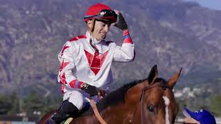 Saratoga: The Source for Top 3YO's (2026)