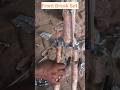 Front Break chimti set #cycle #ytshorts #youtubeshorts#Suhel Cycle Store