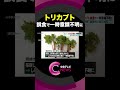 トリカブト誤食で一時意識不明に…　男性から「アコニチン」検出　愛知・岡崎市　#shorts