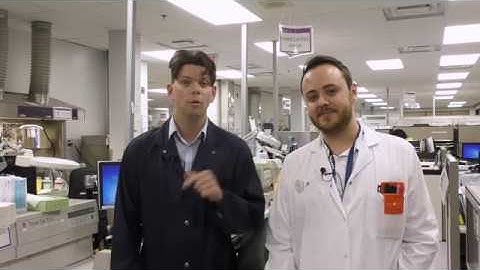 In the Lab -  Histology