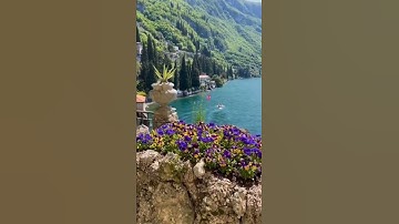 تلاوة سورة البقرة من القاري يوسف عثمان