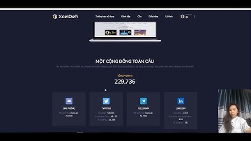 Analysis of XcelDefi