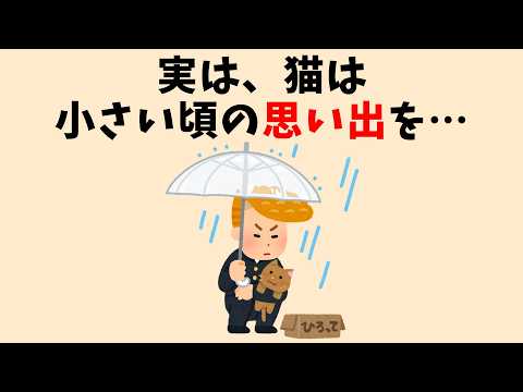猫の意外と知らない雑学 #猫 #雑学 #豆知識 #聞き流し #ねこのサムネイル