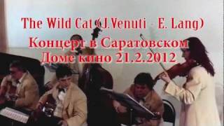 The Wild Cat (J.Venuti - E.Lang). Джазовая скрипка Джо Венути