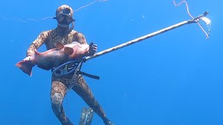 『最強の銃』を使ったら巨大魚が獲れた