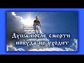 Душа после смерти никуда не уходит