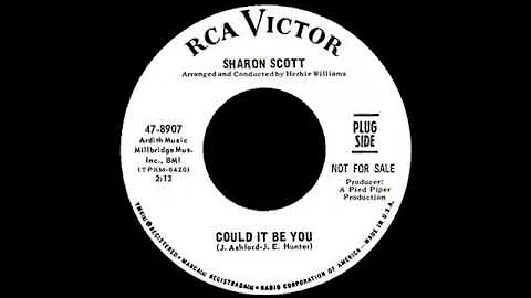 Sharon Scott - Could It Be You