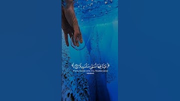 عينا فيها تسمى سلسبيلا 😍 | أجمل تلاوة للقرآن الكريم #quran​ #قران_كريم​ #راحة_نفسية​ #تلاوة_خاشعة​