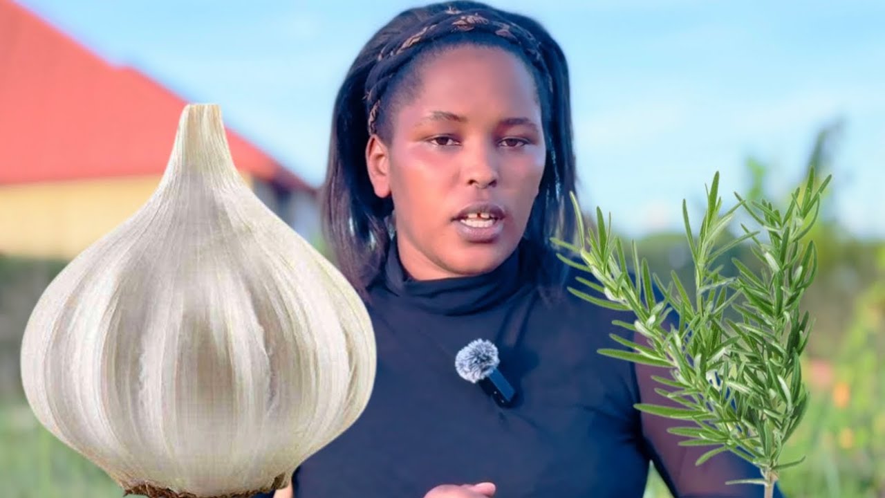 PART 2: AMIBE IRAKIRA  DORE UBUHAMYA BWUWAKIZE AMIBE  NGWINO NAWE NKUVURE