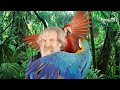 Co Aleksander Doba ma wspólnego z papugami, czyli kajakiem przez Amazonię