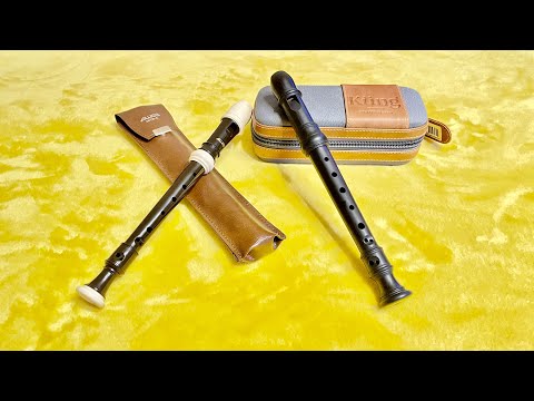 Sopranino Recorder Comparison: